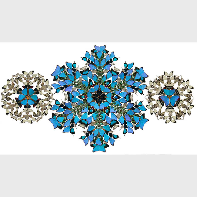 SACRED SYMMETRY (TROPICAL SNOWFLAKE)